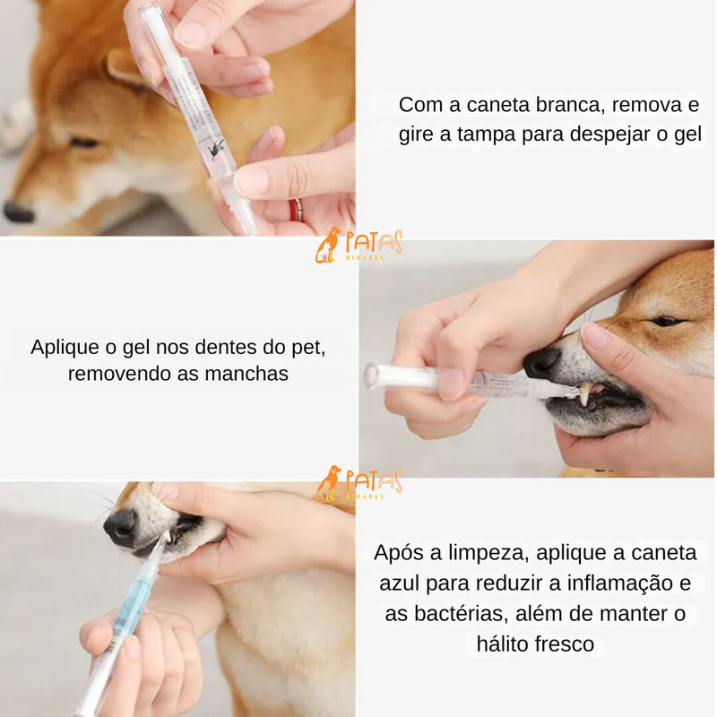 Caneta de cuidado dental